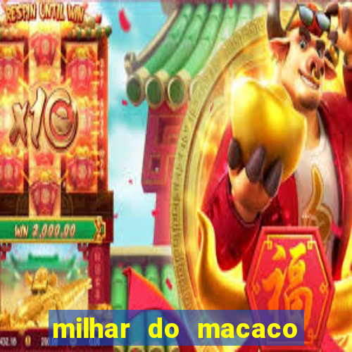 milhar do macaco que mais saem no jogo do bicho