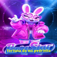 fortuna do mc pedrinho