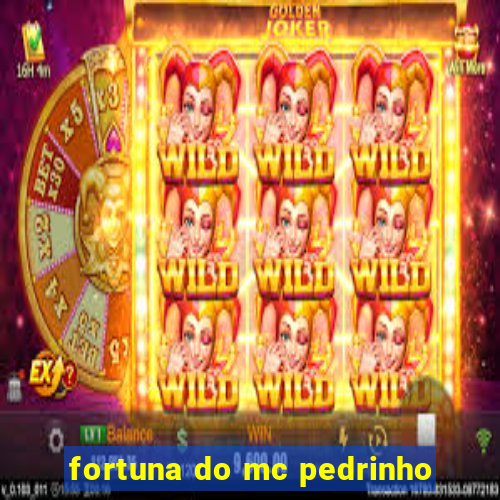 fortuna do mc pedrinho