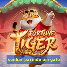 sonhar parindo um gato