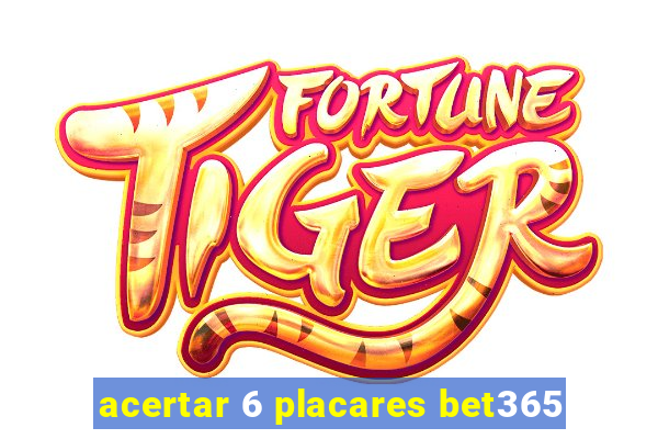 acertar 6 placares bet365