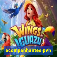 acompanhantes pvh