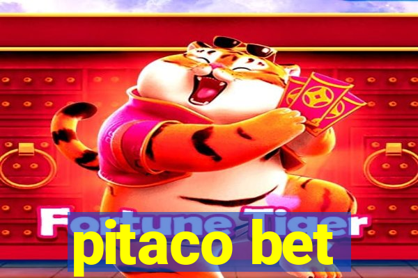 pitaco bet