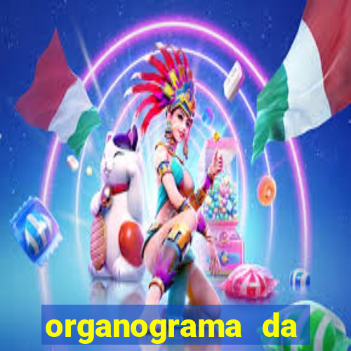 organograma da cacau show