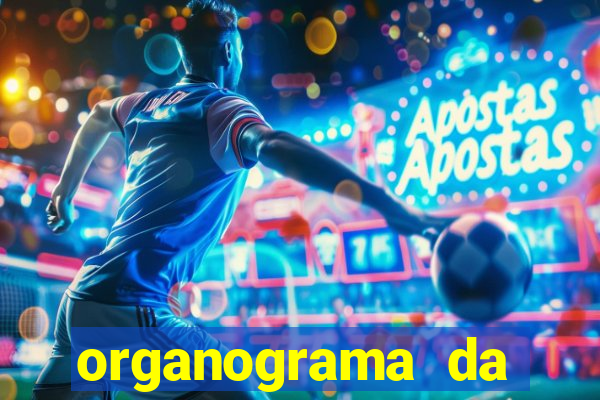 organograma da cacau show