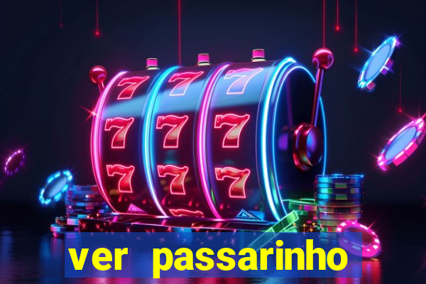 ver passarinho morto significado