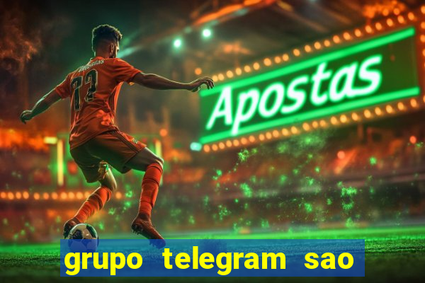 grupo telegram sao jose do rio preto