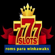 roms para winkawaks