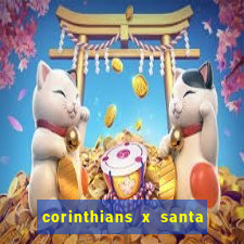 corinthians x santa cruz ao vivo hd