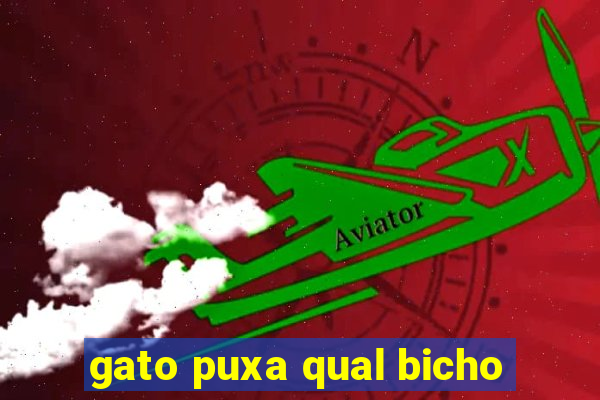 gato puxa qual bicho