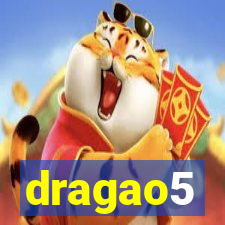 dragao5