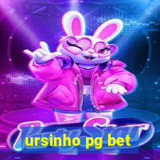 ursinho pg bet