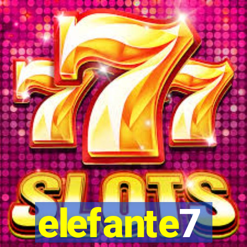 elefante7