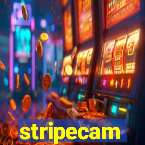 stripecam