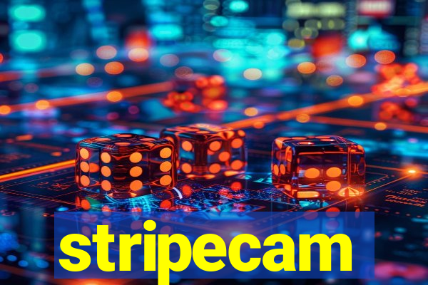 stripecam