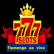 flamengo ao vivo hd play