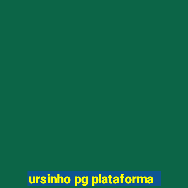 ursinho pg plataforma