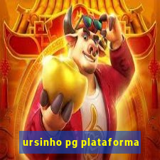 ursinho pg plataforma