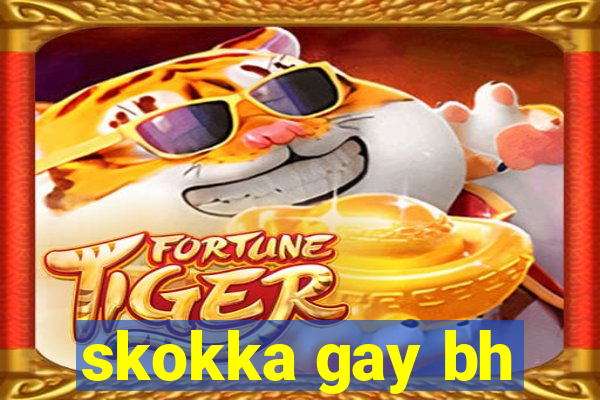 skokka gay bh