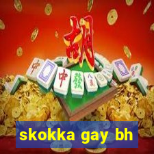 skokka gay bh