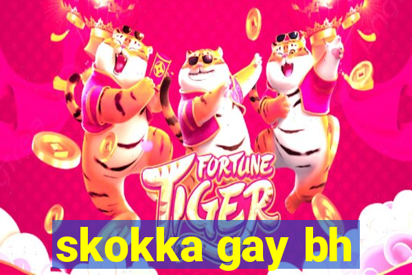 skokka gay bh