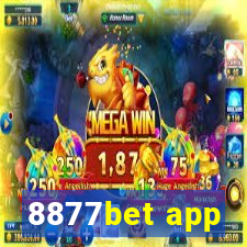 8877bet app