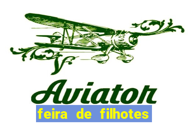 feira de filhotes porto alegre