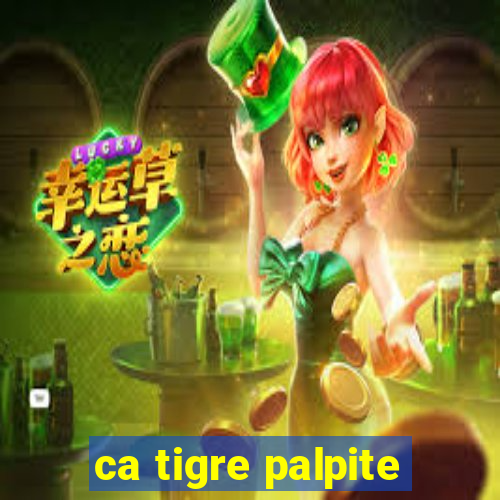 ca tigre palpite