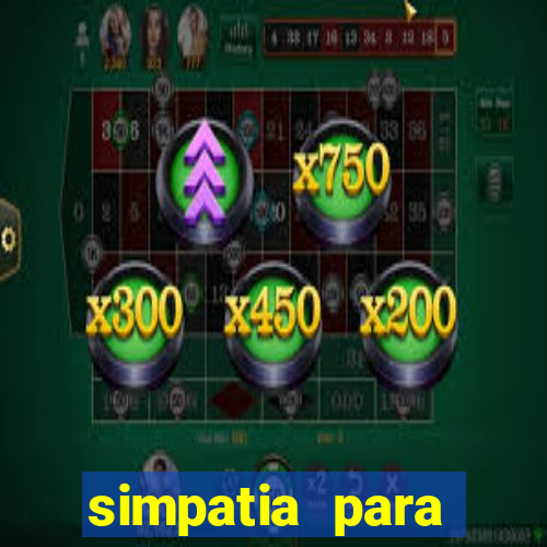 simpatia para ganhar na loteria com folha de louro