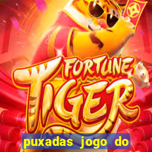 puxadas jogo do bicho sueli