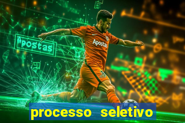 processo seletivo cerejeiras 2024