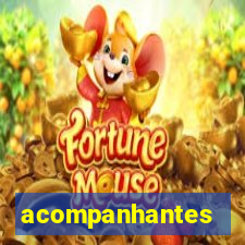 acompanhantes masculino porto velho