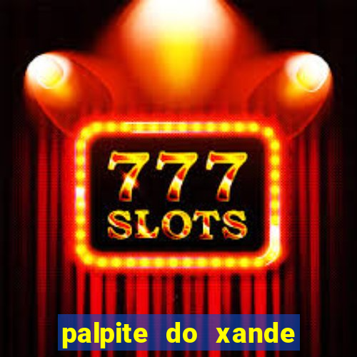 palpite do xande para hoje