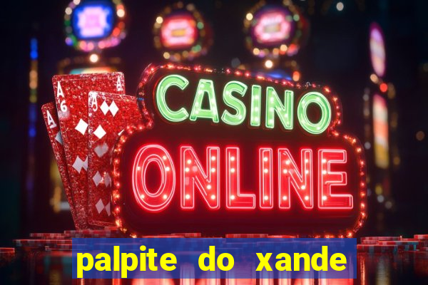 palpite do xande para hoje