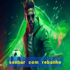 sonhar com rebanho de gado jogo do bicho