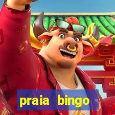 praia bingo dinheiro infinito 2022