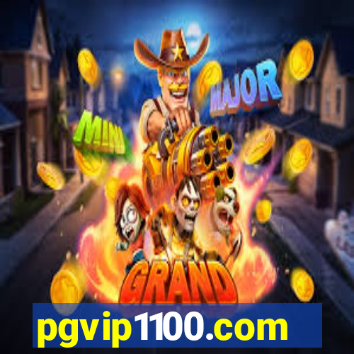 pgvip1100.com