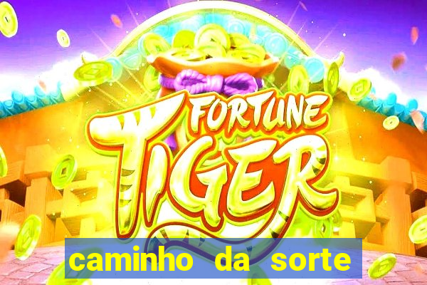 caminho da sorte esporte net