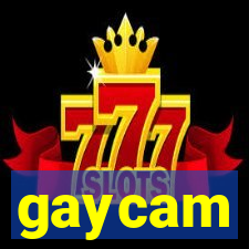 gaycam