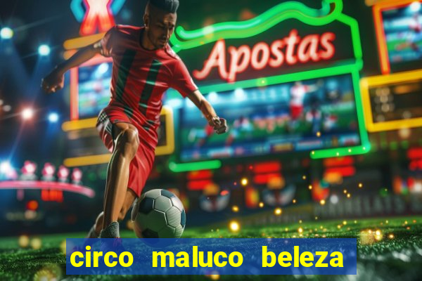 circo maluco beleza recife circo maluco