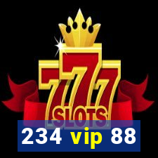 234 vip 88