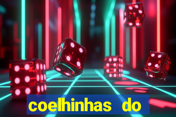 coelhinhas do brasil recife