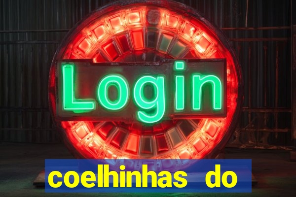 coelhinhas do brasil recife