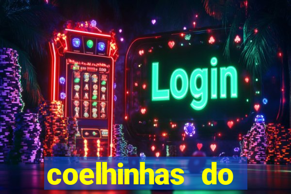 coelhinhas do brasil recife