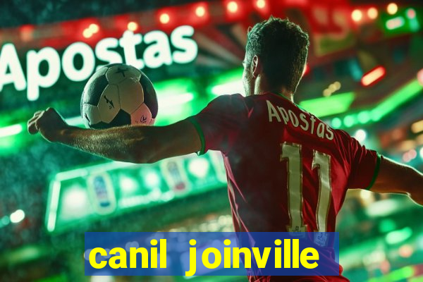 canil joinville vila nova