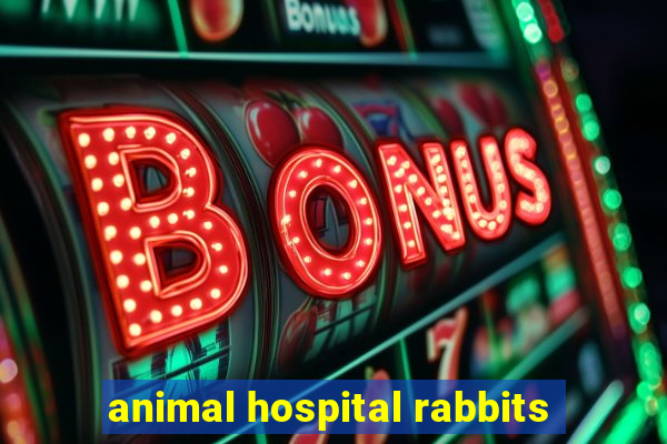 animal hospital rabbits