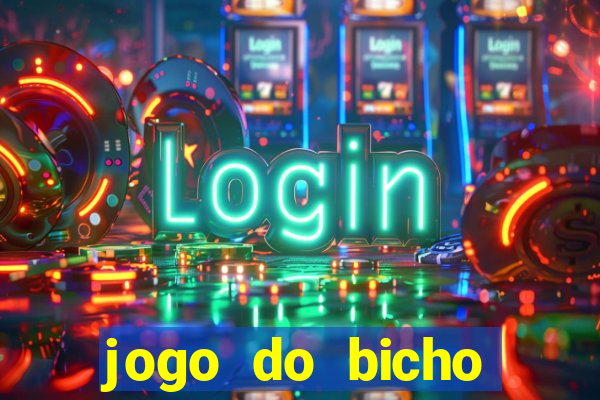 jogo do bicho crash bingo