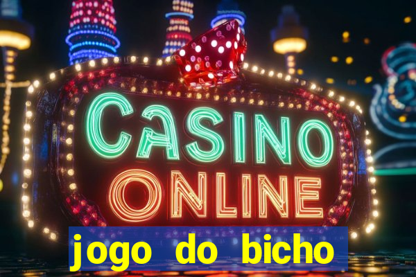 jogo do bicho crash bingo