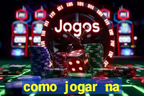 como jogar na seninha online