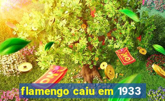 flamengo caiu em 1933